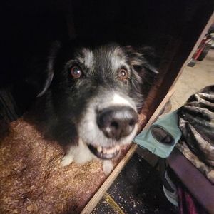Meet your Posher, Mason